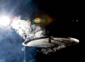 Jadalne owady w diecie fit