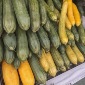 Ogórki do marynowania z szklarni